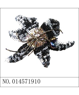 HairClips Black