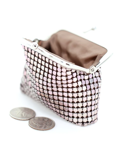 Mini Metallic Mesh Change Purse