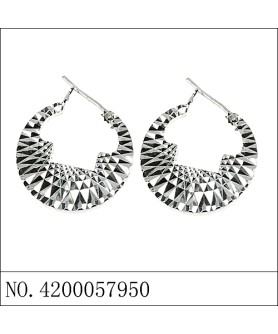 Earrings White Gold