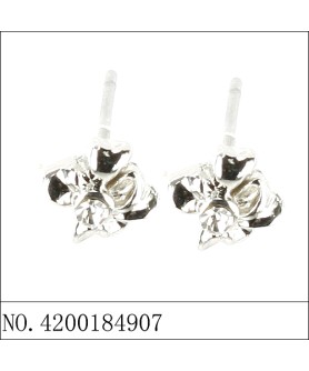 Earrings White