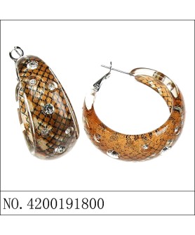 Earrings Brown