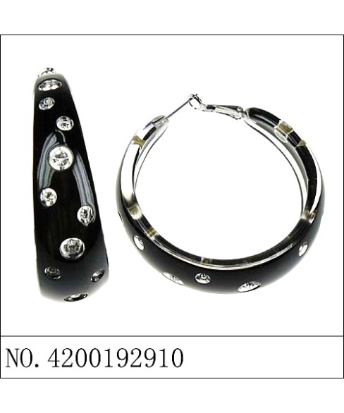 Earrings Black