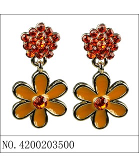 Earrings Orange