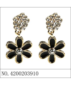 Earrings Black