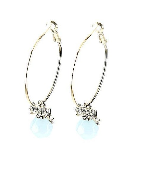 Earrings Blue 4200216300