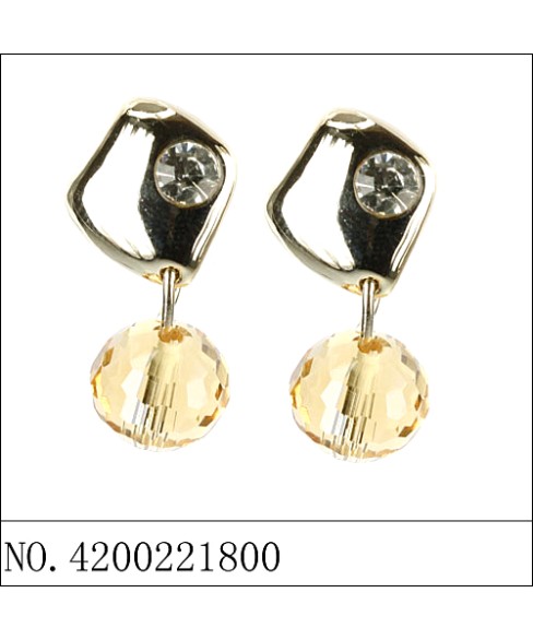 Earrings Brown