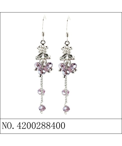 Earrings Purple