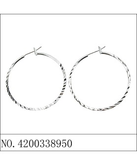 Earrings White Gold