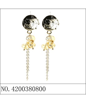 Earrings Brown