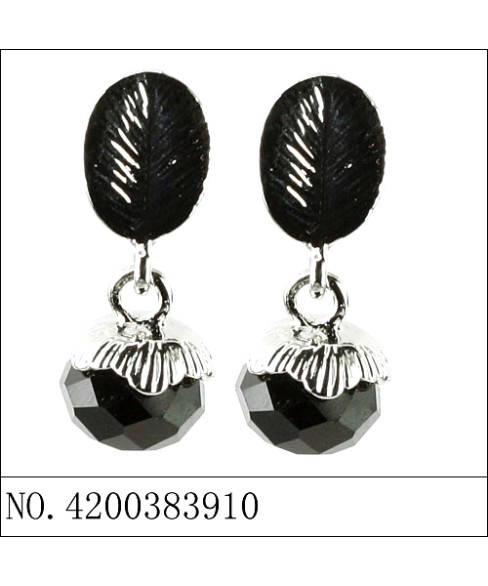 Earrings Black