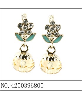 Earrings Brown