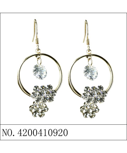 Earrings Gold