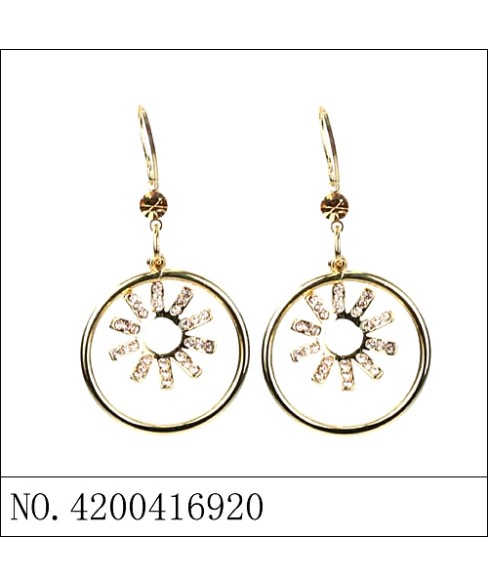 Earrings Gold