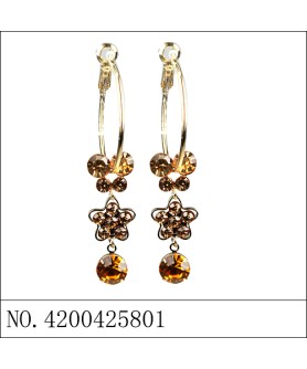 Earrings Brown