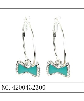 Earrings Blue