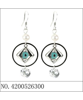 Earrings Blue