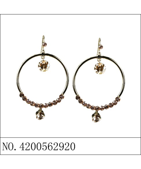 Earrings Gold