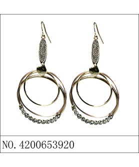 Earrings Gold