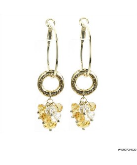 Earrings Gold