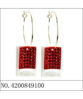 Earrings Red