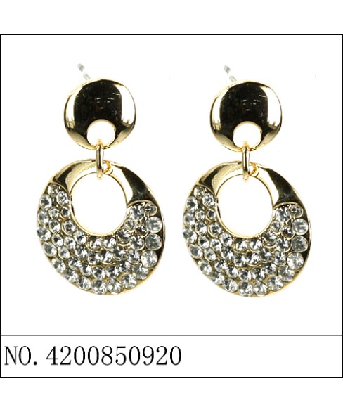 Earrings Gold