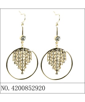 Earrings Gold