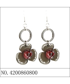 Earrings Brown