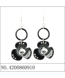 Earrings Black