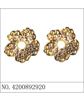 Earrings Gold