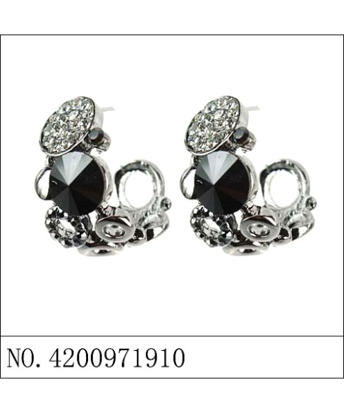 Earrings Black