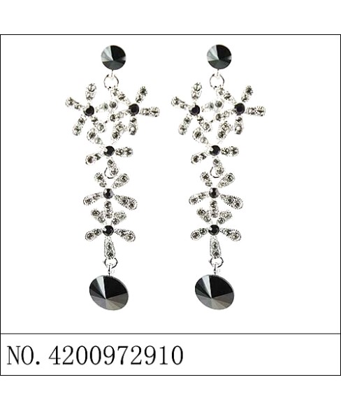 Earrings Black