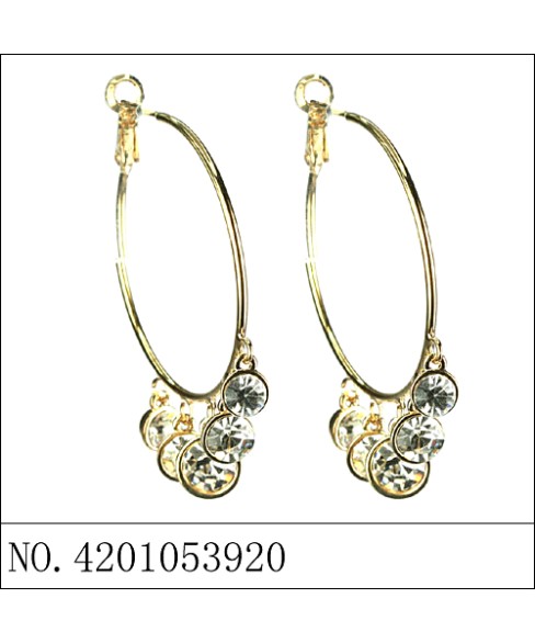 Earrings Gold