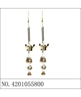 Earrings Brown