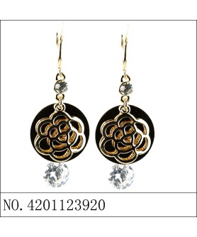 Earrings Gold