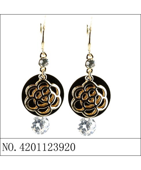 Earrings Gold