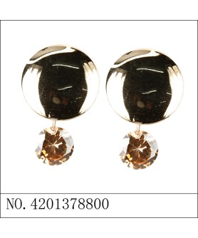 Earrings Brown