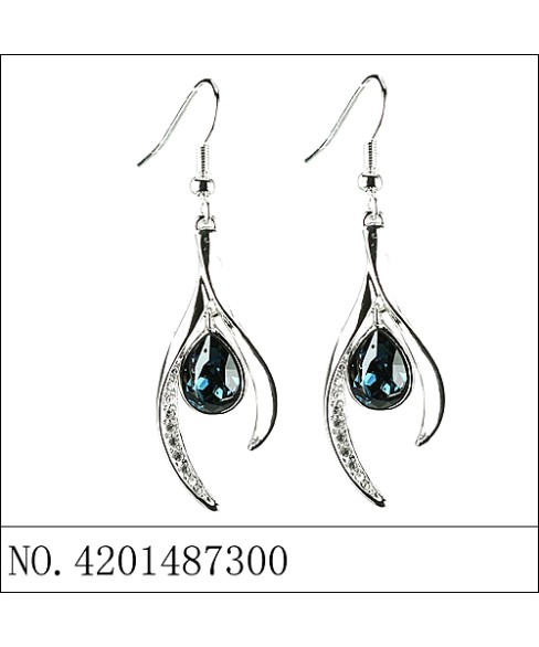 Earrings Blue