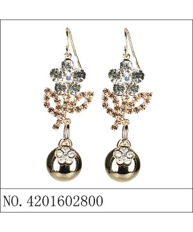 Earrings Brown