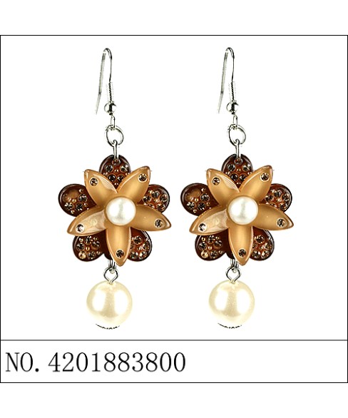 Earrings Brown