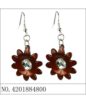 Earrings Brown