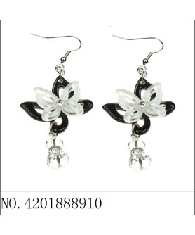 Earrings Black