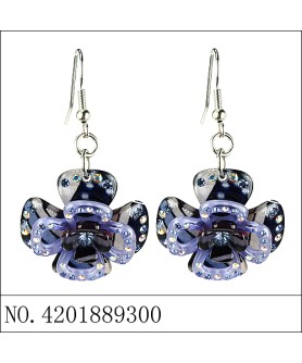 Earrings Blue