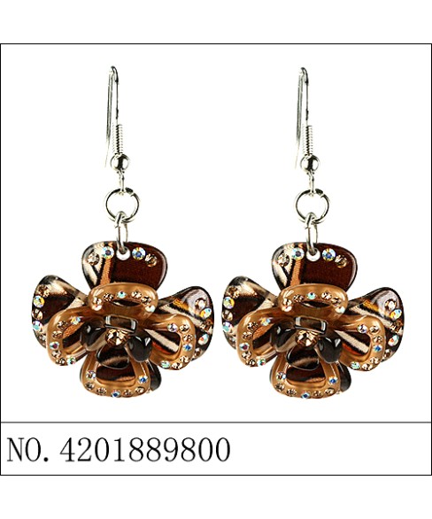 Earrings Brown