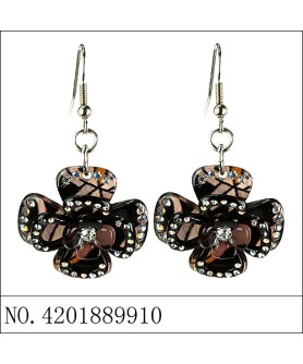 Earrings Black