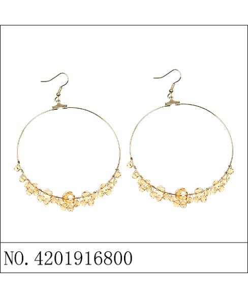 Earrings Brown