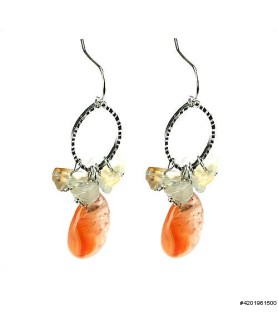 Earrings Orange