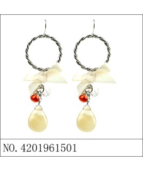 Earrings Orange