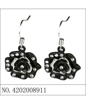 Earrings Black