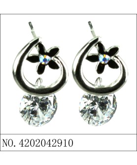 Earrings Black