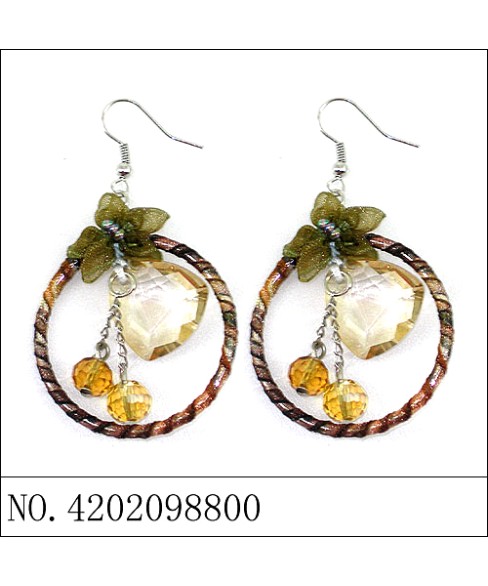 Earrings Brown